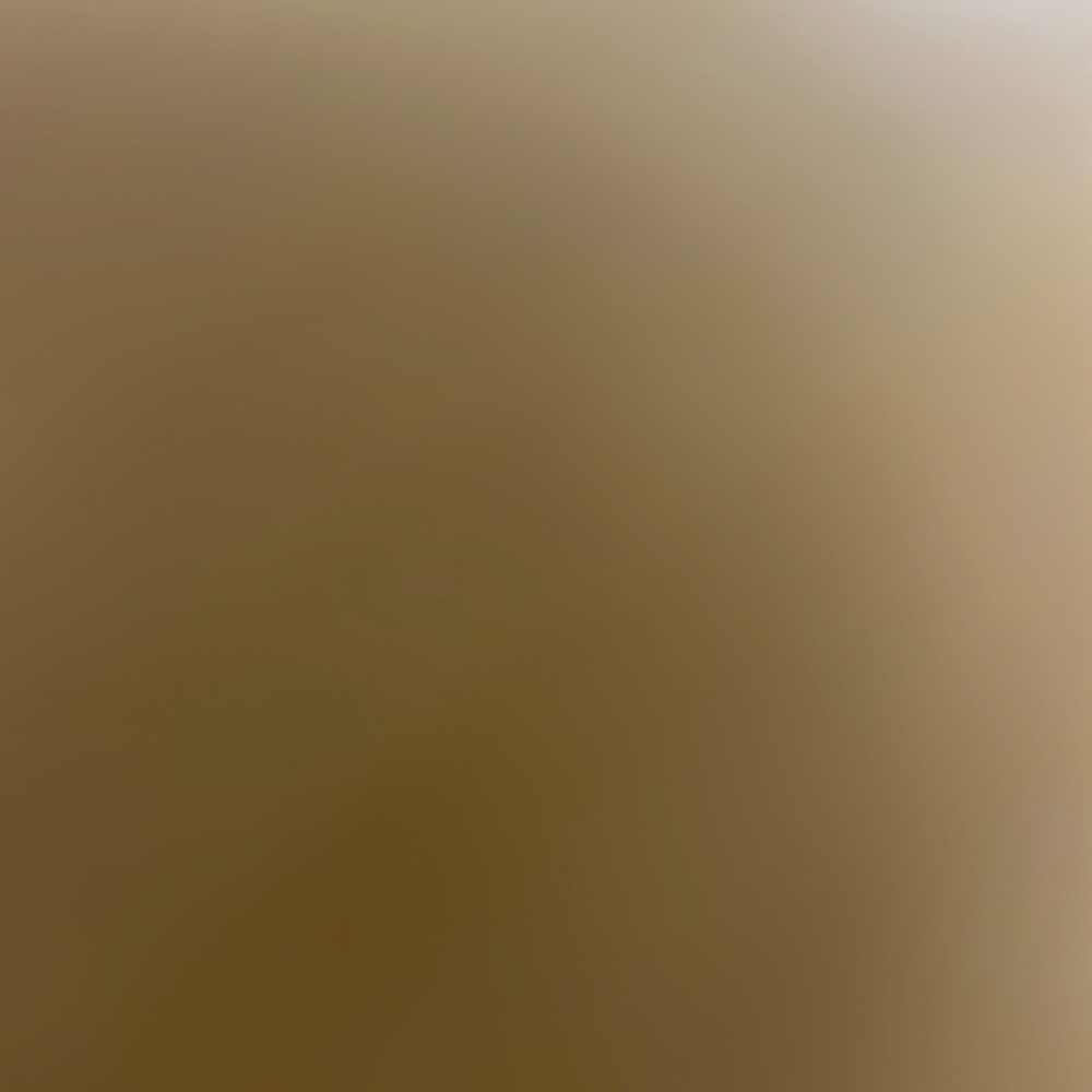 Brand new shoes for woman